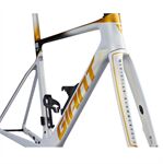 Khung xe đạp Giant Propel Advanced SL Frame And Fork